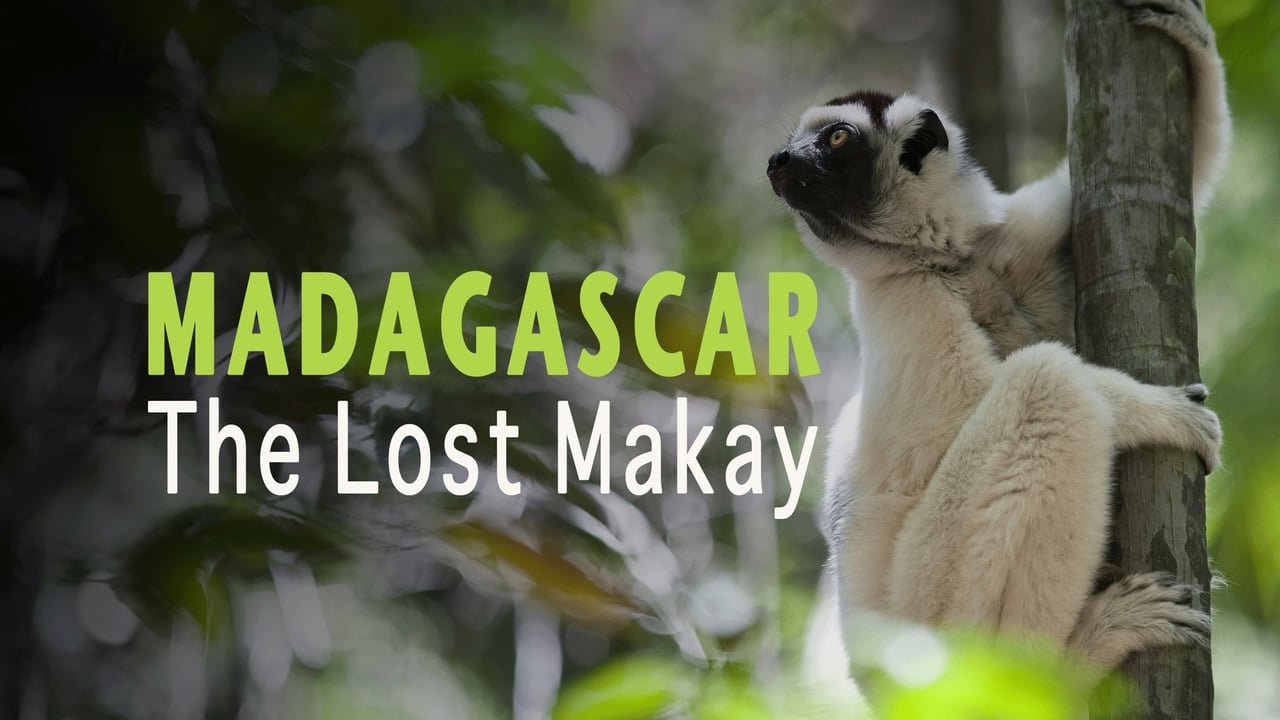 Madagascar: The Lost Makay background