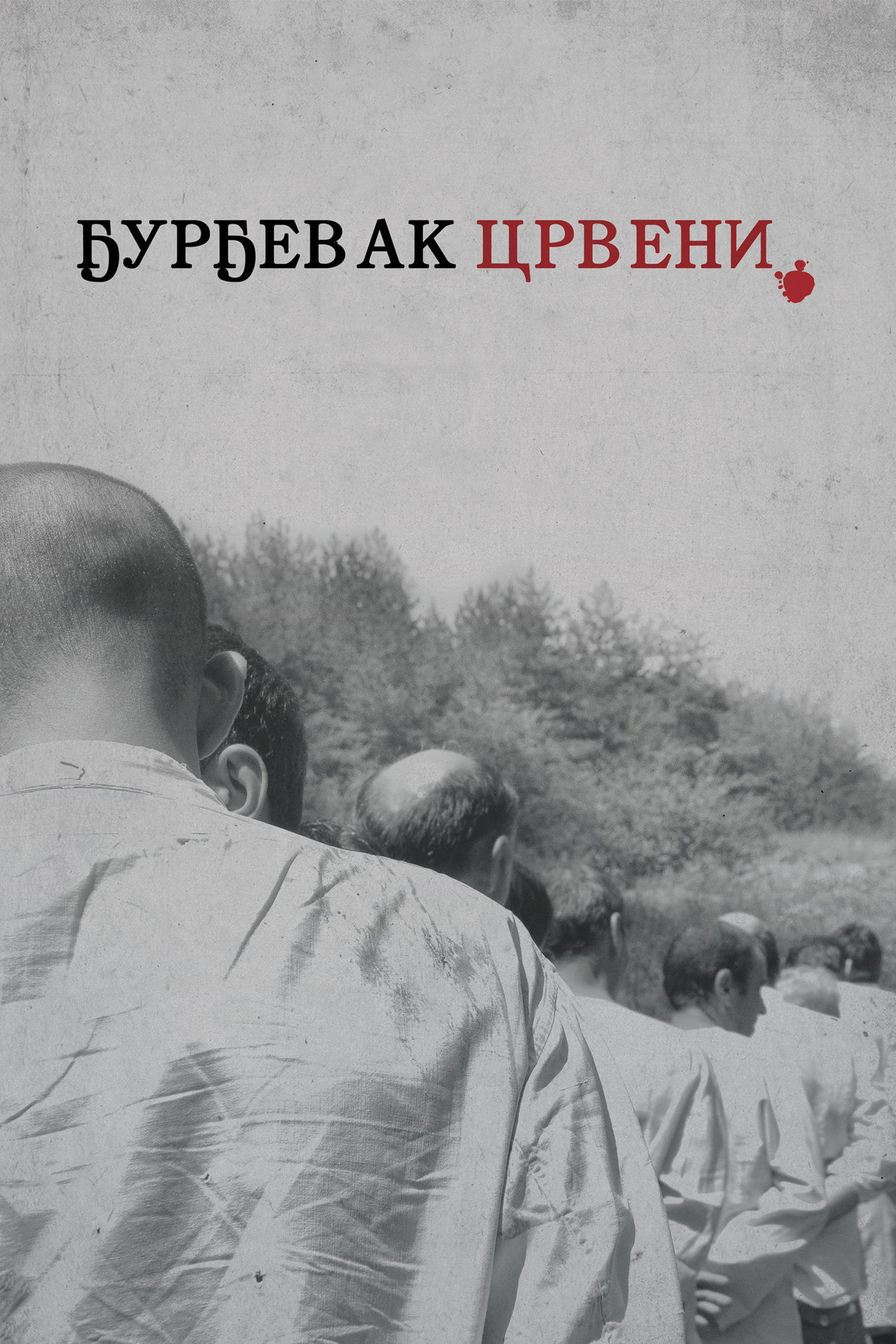Ђурђевак црвени filmaffisch