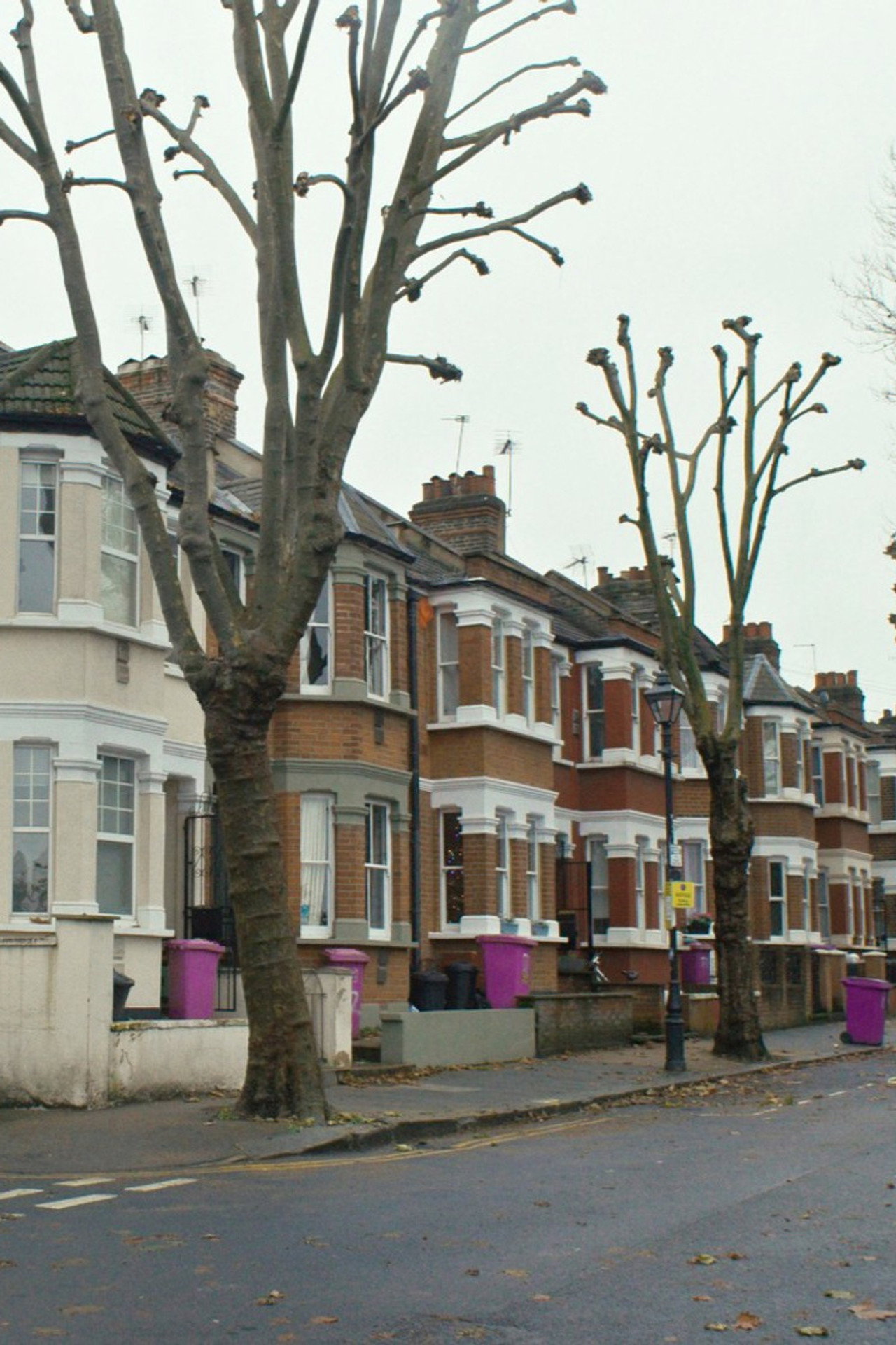 And They Live in Row Houses