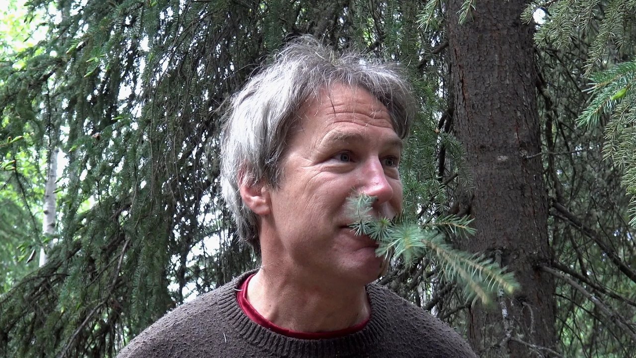 title image