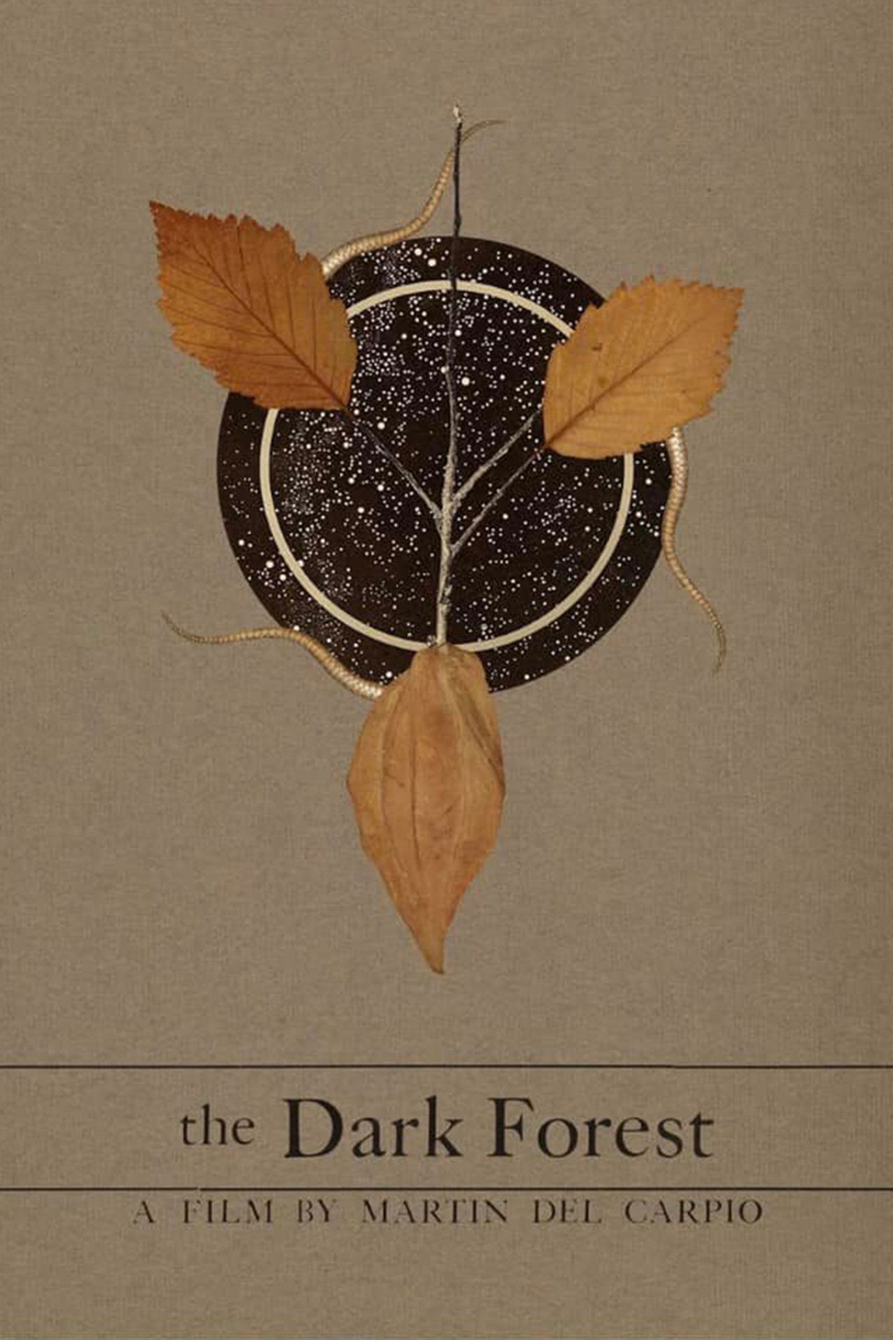 The Dark Forest Backdrop