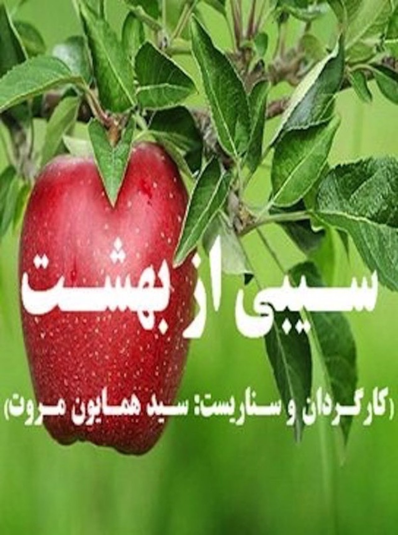 An Apple from Paradise