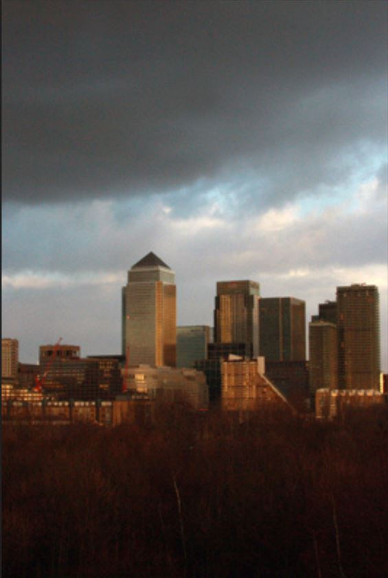 Into the Garden of Glass and Steel Backdrop