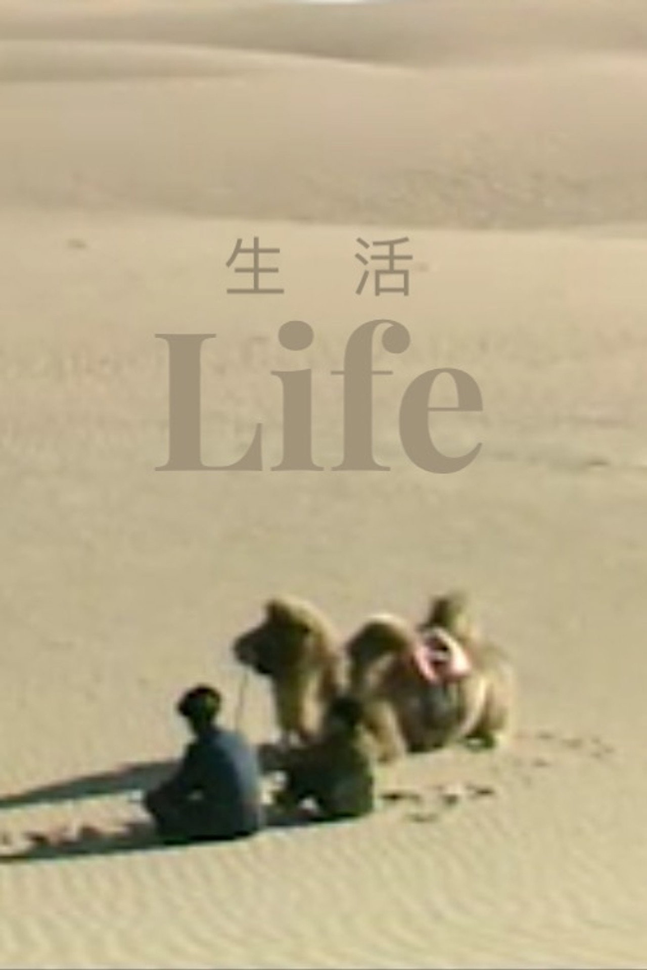 生活 filmaffisch