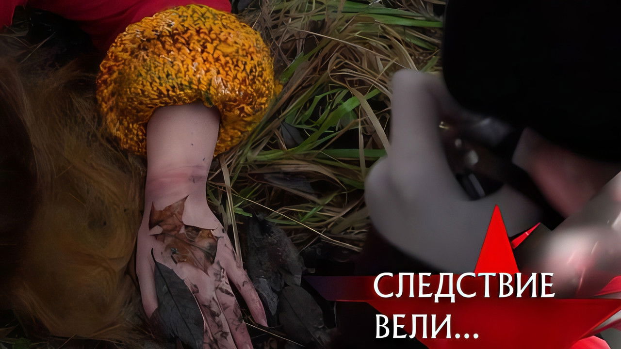 The investigation was conducted - Season 20 Episode 33 : Episode 33