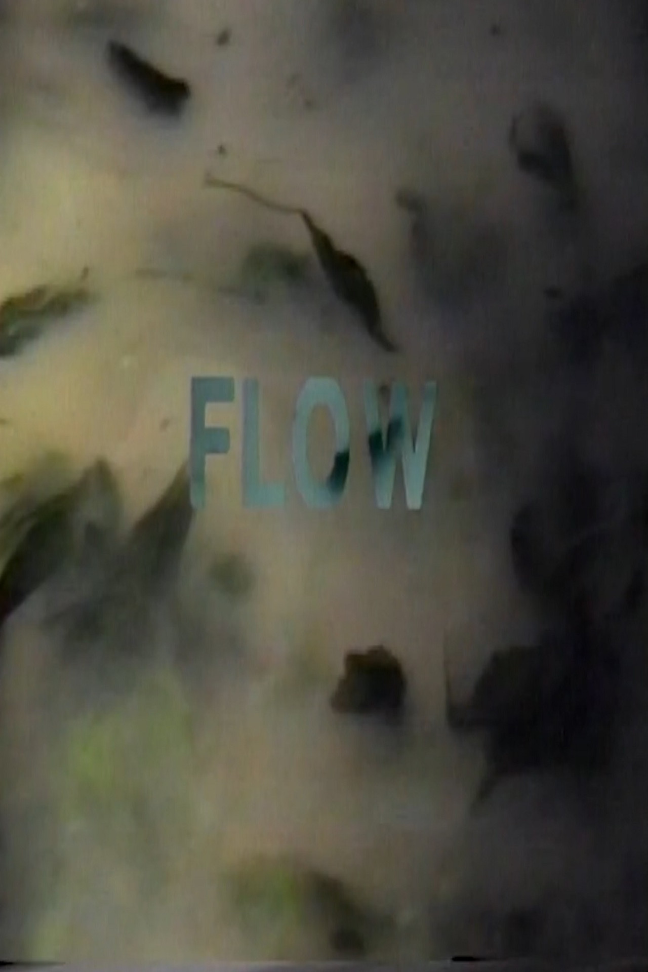 流 filmaffisch