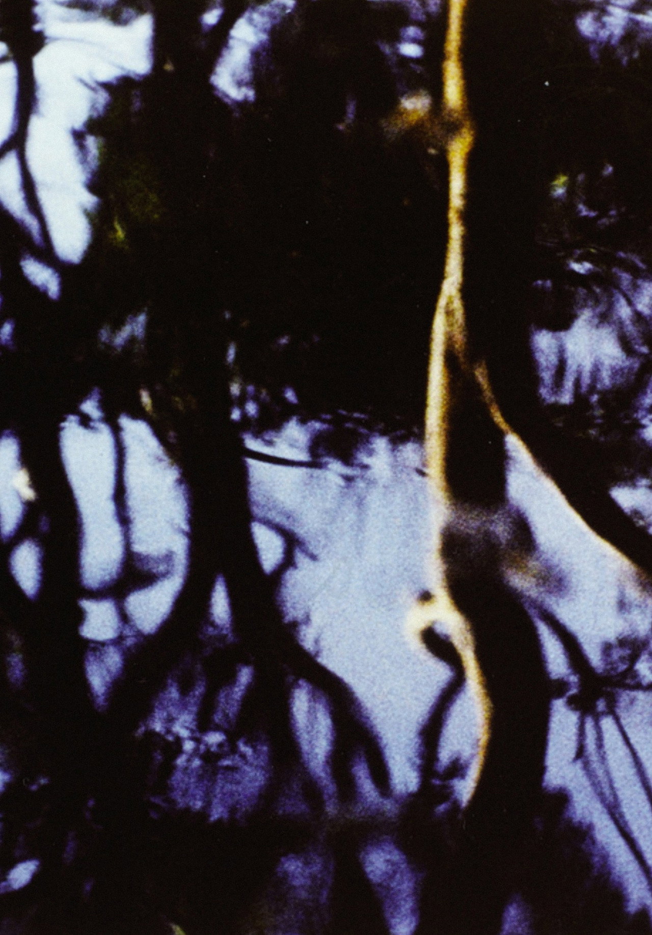 Corporeal