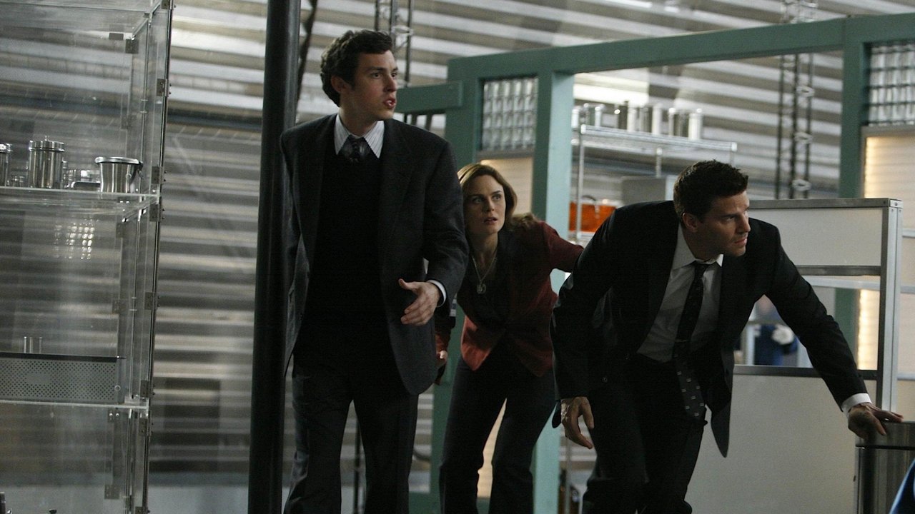 Bones - Season 3 Episode 15 : The Pain in the Heart