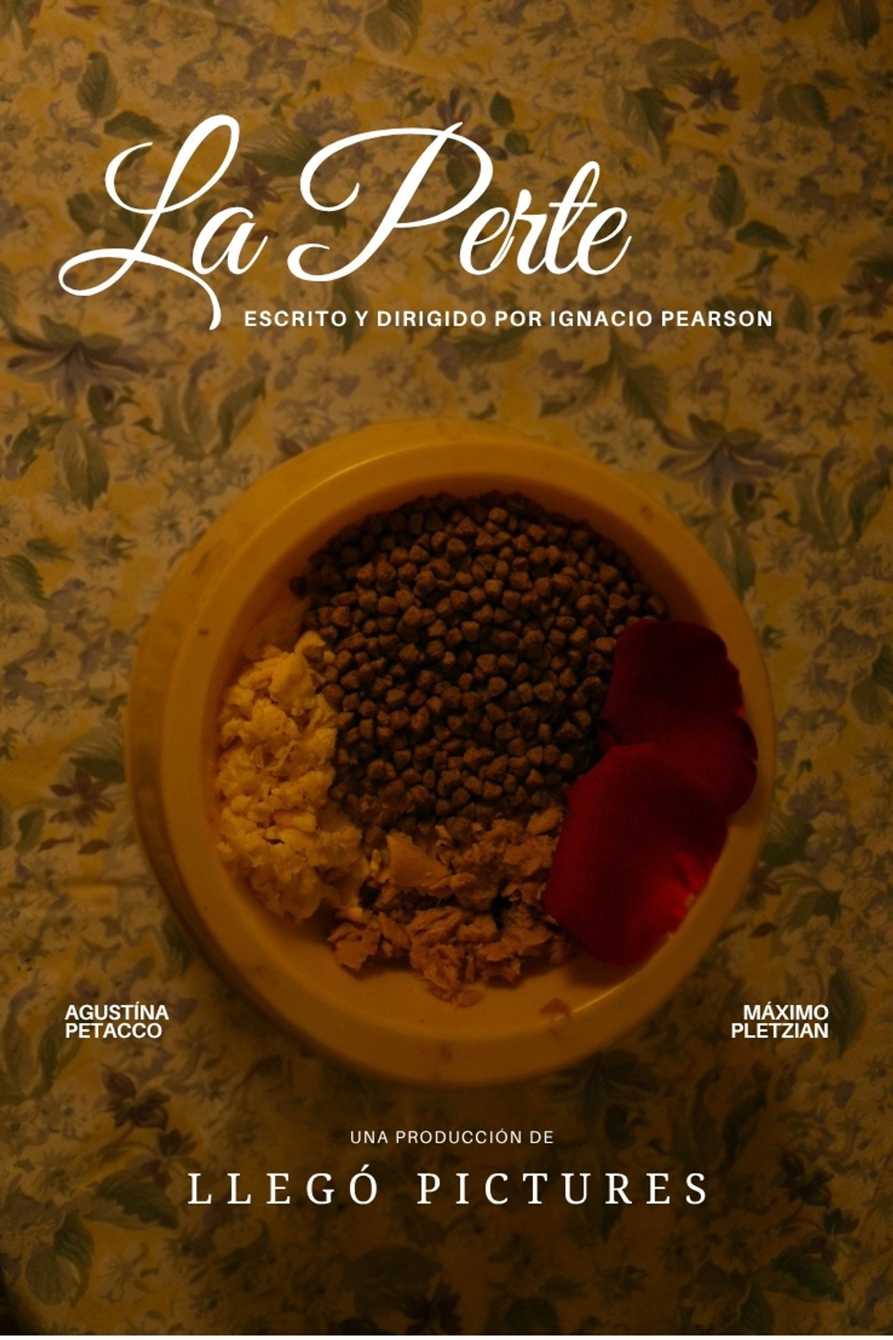 La Perte filmaffisch