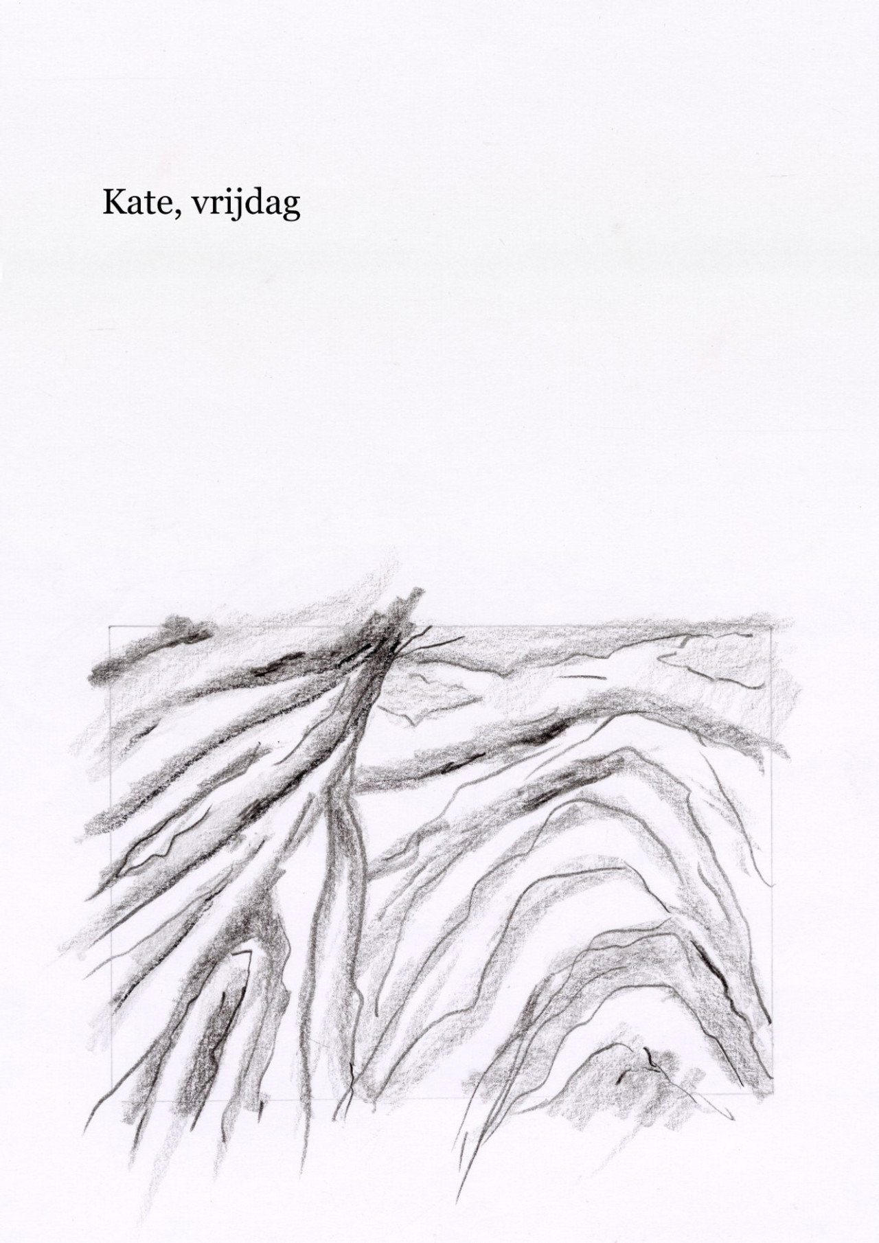 Kate, vrijdag filmaffisch