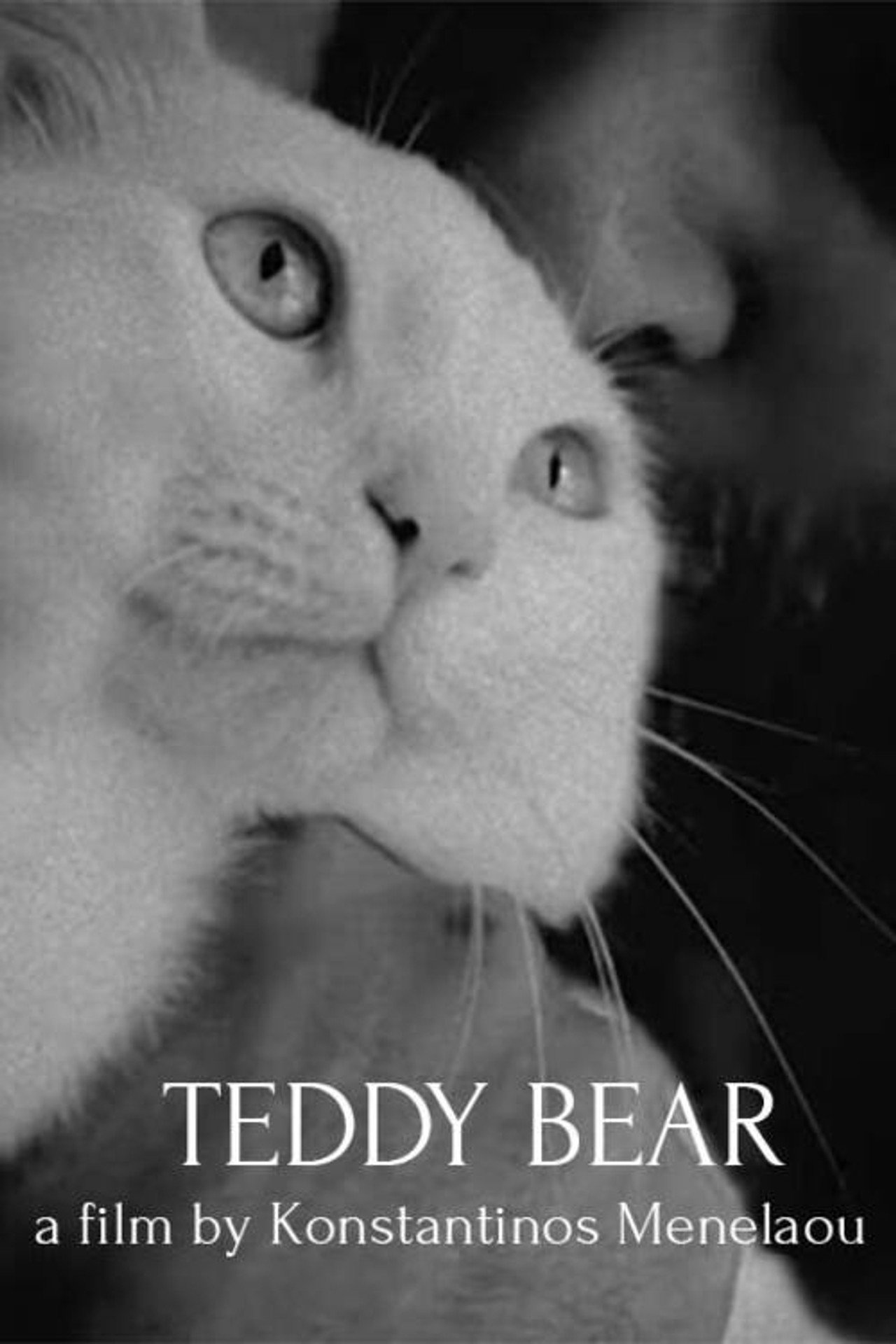Teddy Bear filmaffisch
