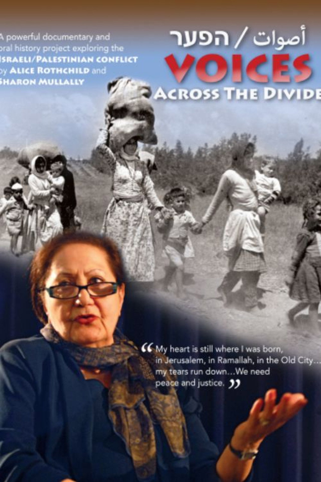 Voices Across the Divide Backdrop