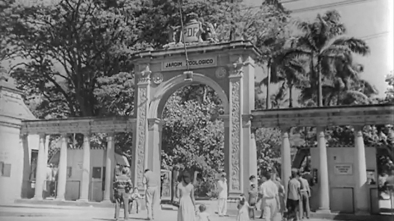 Dimërorët Zoologjik i Rio de Janeiro backdrop