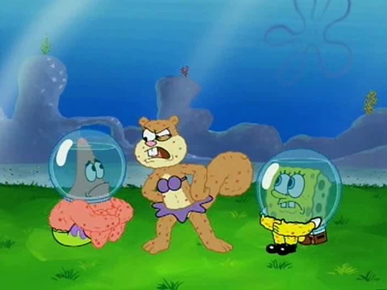 SpongeBob SquarePants - Season 5 - Episode 18: A Flea in Her Dome.