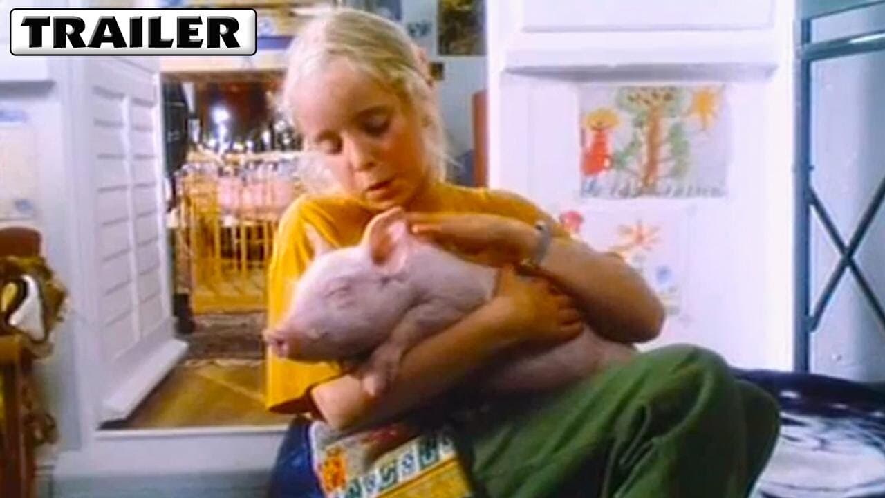 Scen från Rudy, the Racing Pig