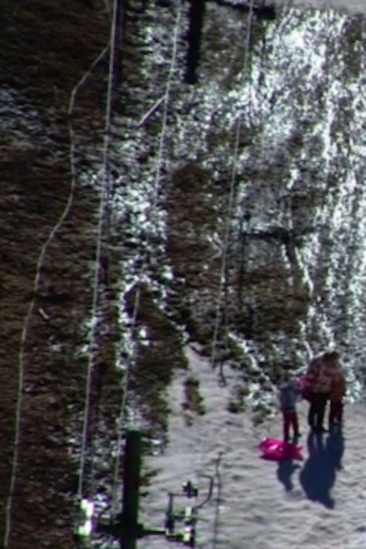 A Dream of Snow