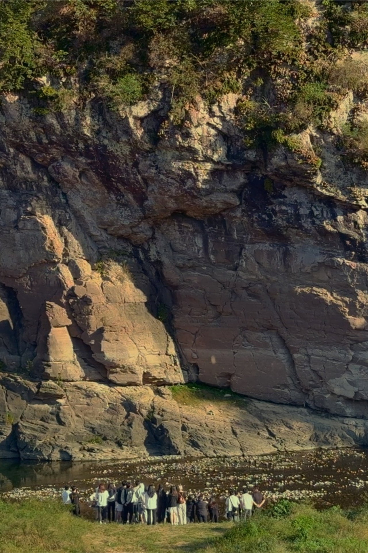 ​The Haunted Cat and the Unfolding Petroglyph​
