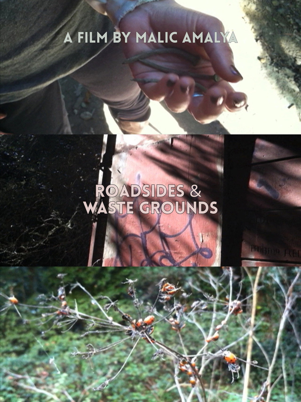 Roadsides and Waste Grounds filmaffisch