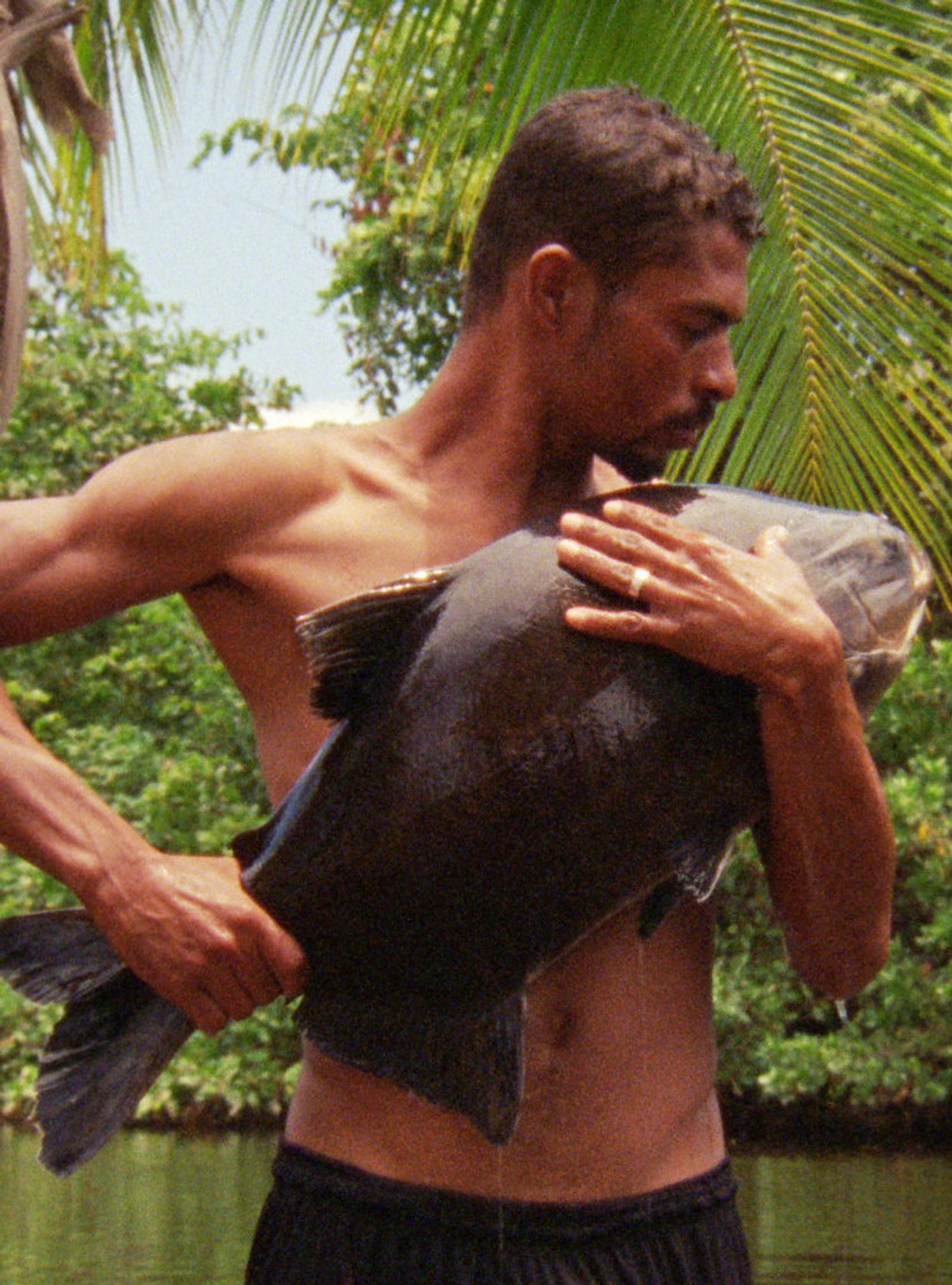 O Peixe filmaffisch