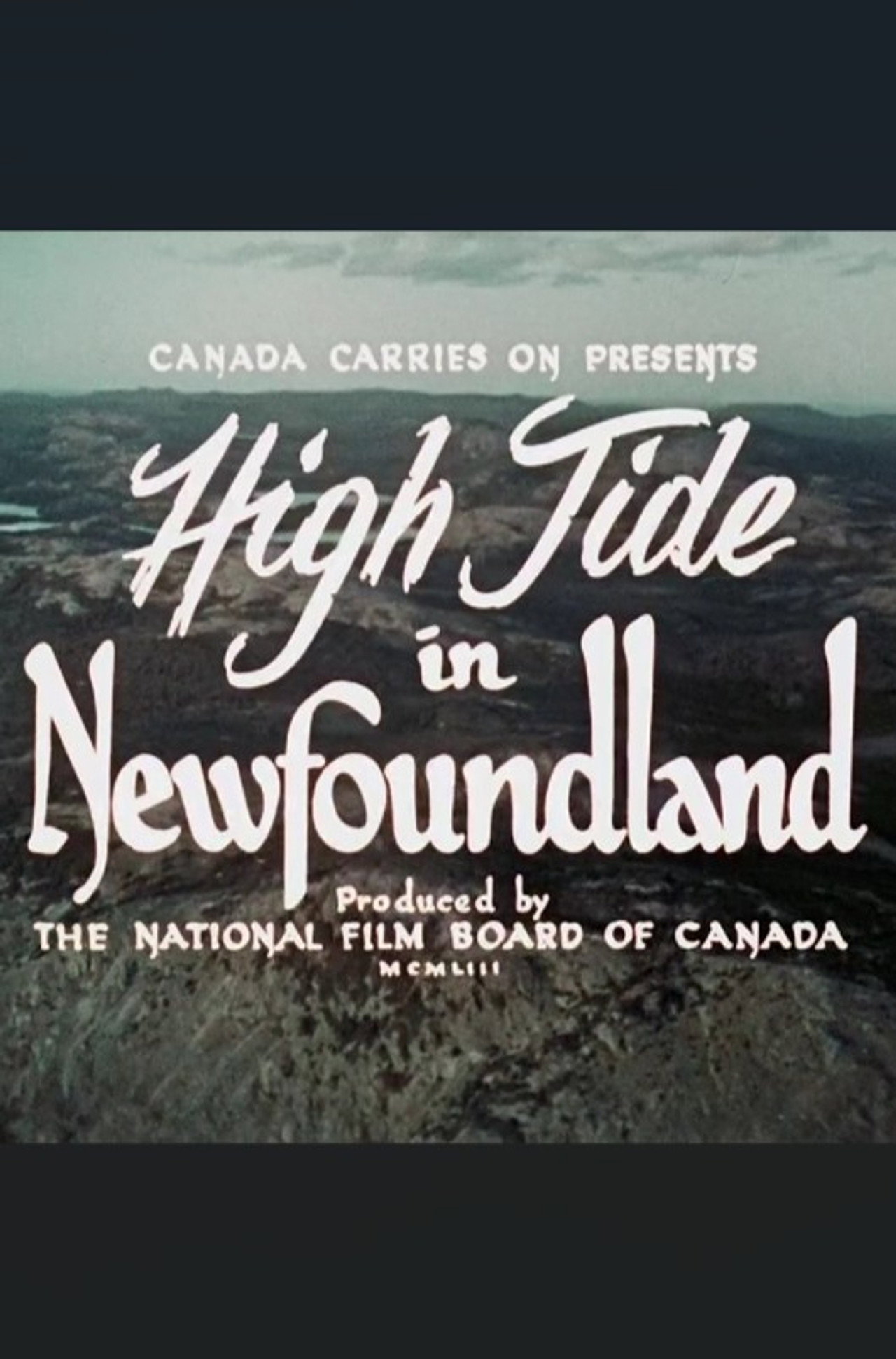 High Tide in Newfoundland