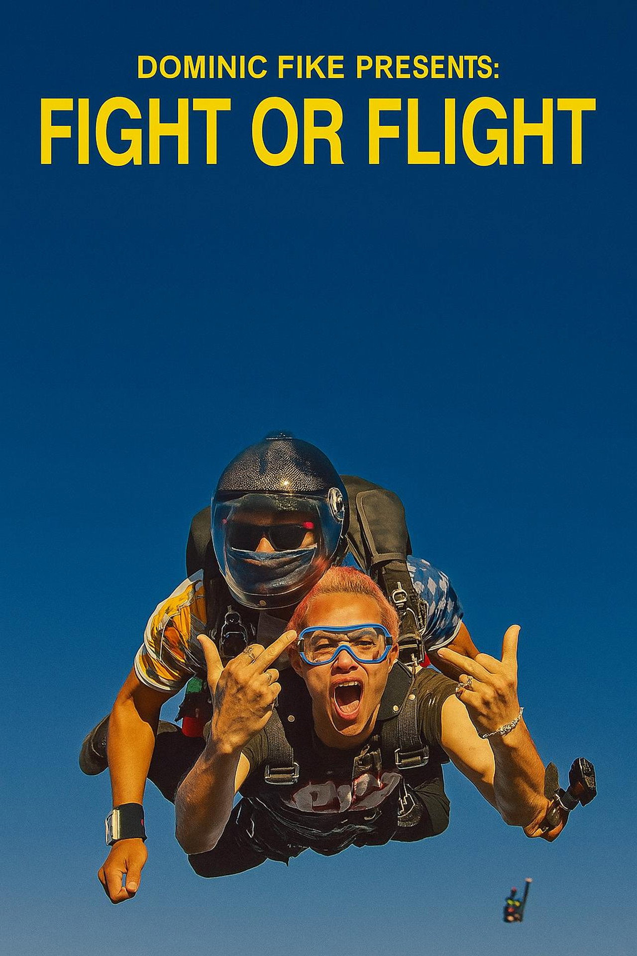 DOMINIC FIKE PRESENTS: FIGHT OR FLIGHT filmaffisch
