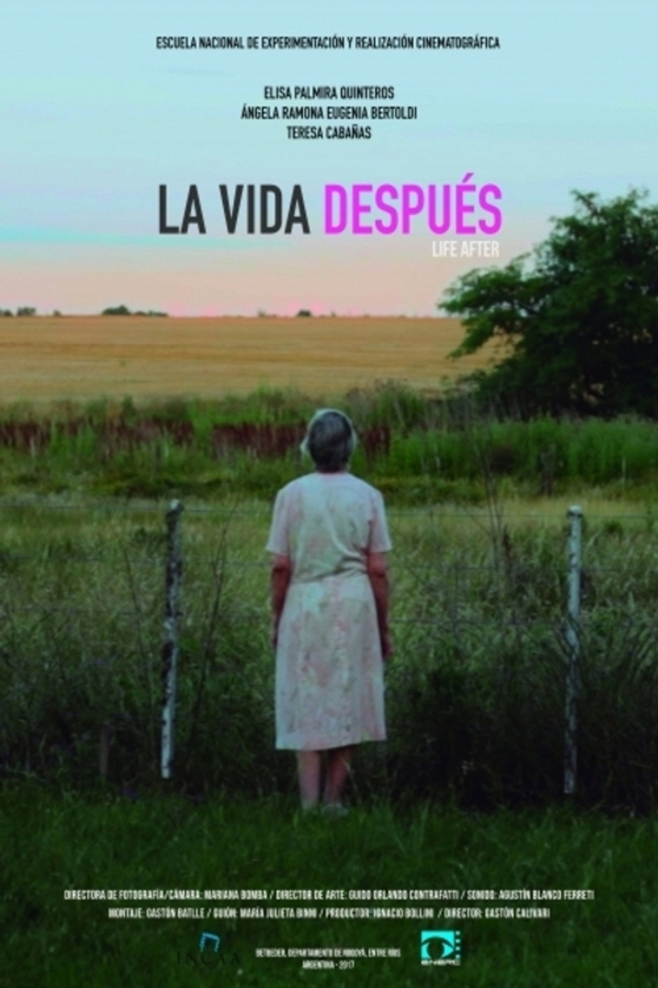 La Vida Después filmaffisch
