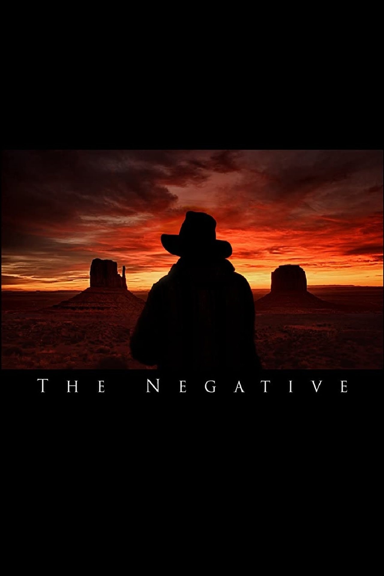 The Negative The Negative