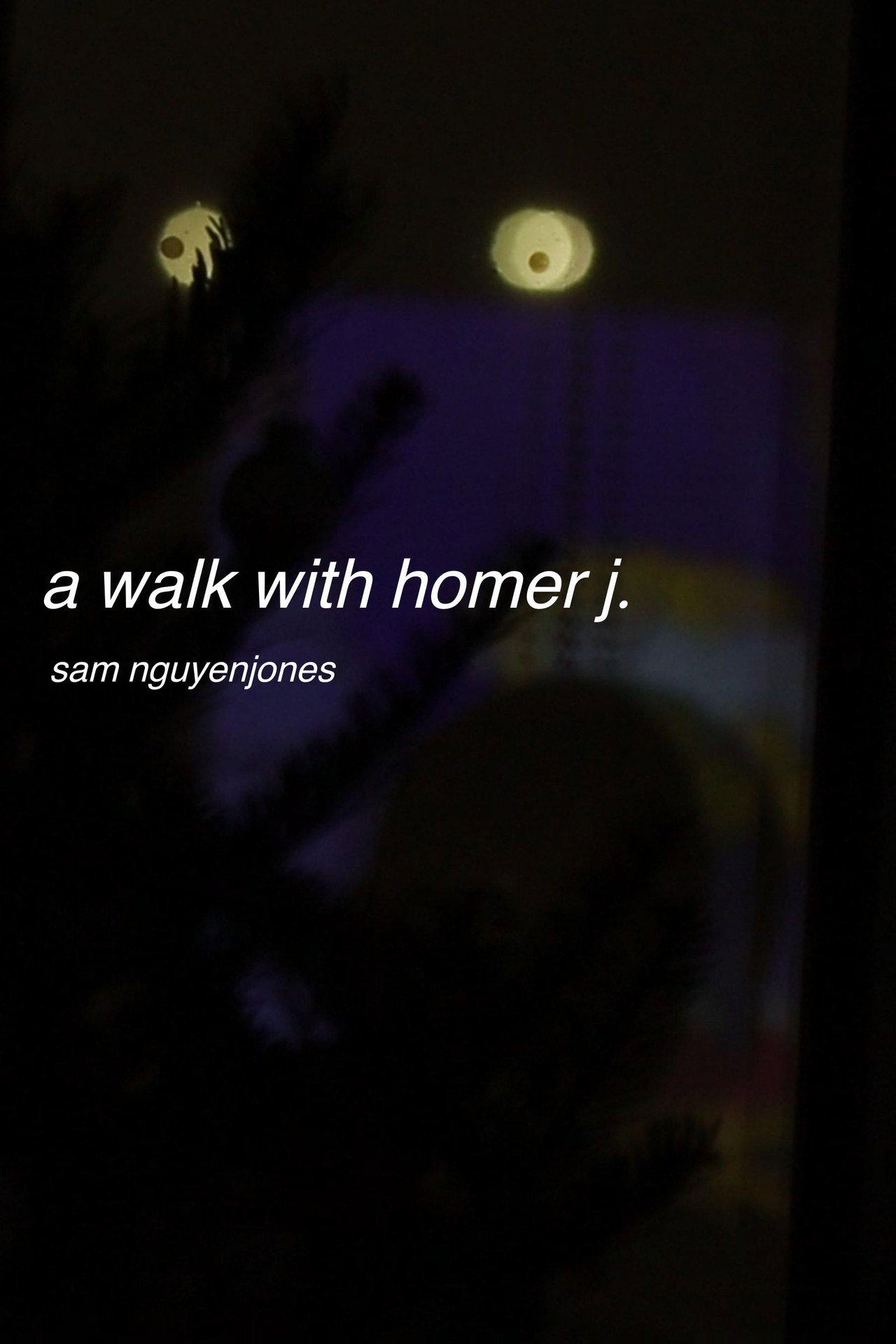 a walk with homer j. poster