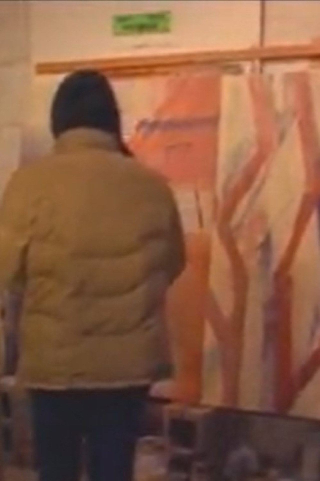 Jaune Quick-To-See Smith Backdrop