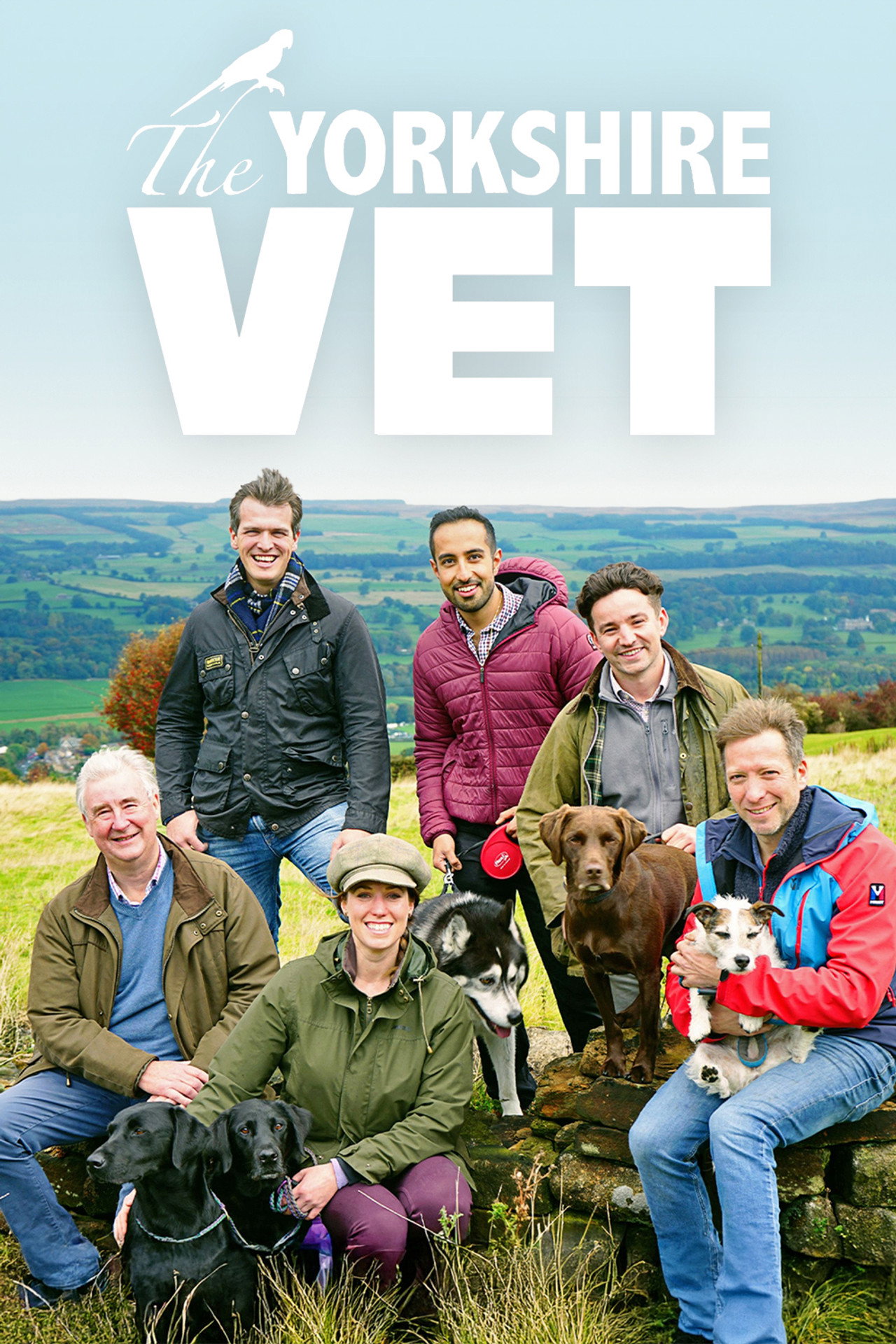 Veterinären i Yorkshire affisch