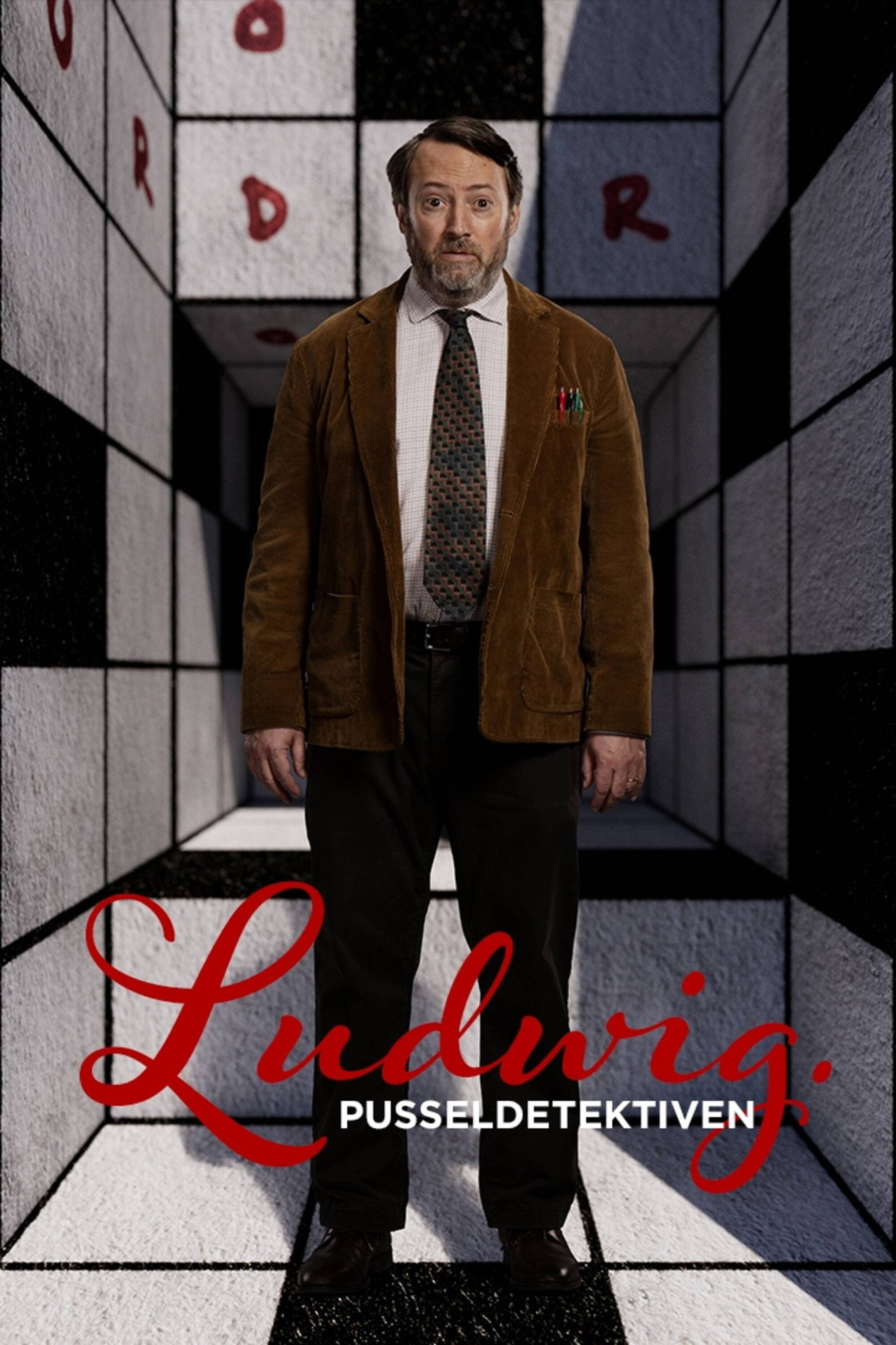 Ludwig – pusseldetektiven affisch