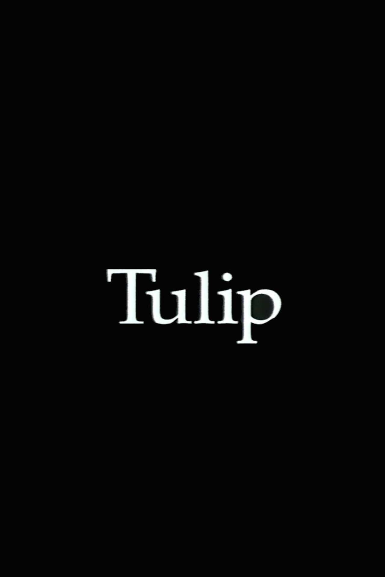 Tulip Tulip