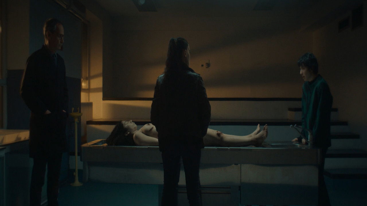 Image La red púrpura