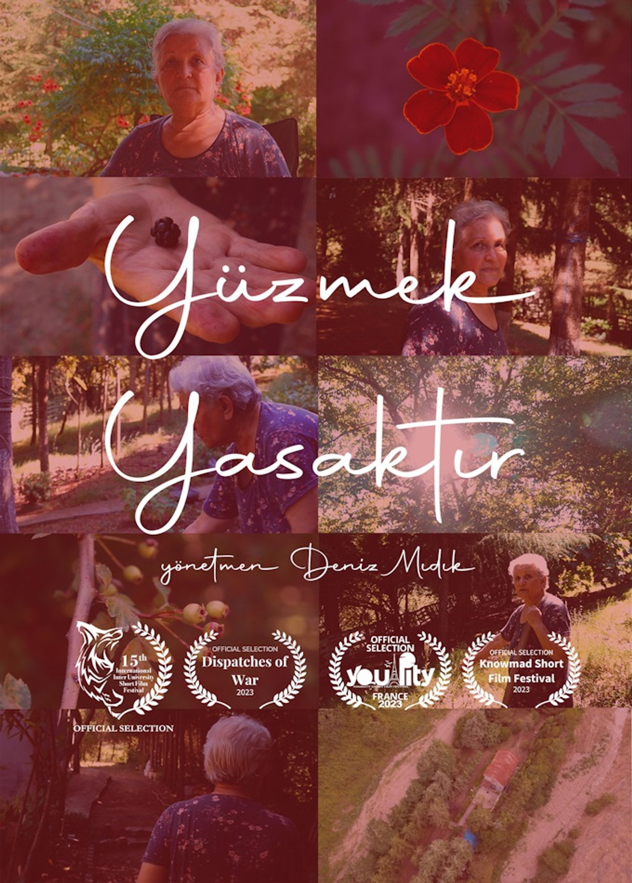 Yüzmek Yasaktır filmaffisch