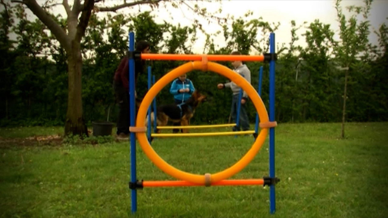 Missione cuccioli — Épisode 8