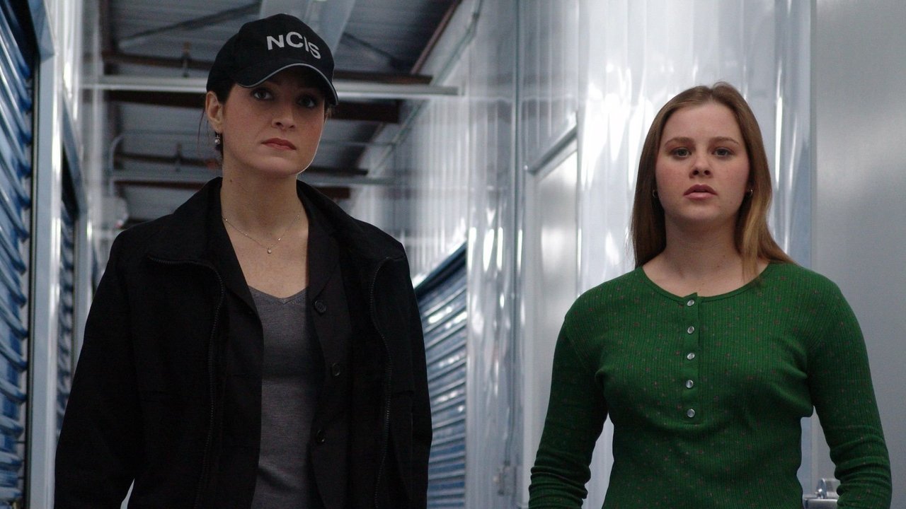 NCIS - Season 2 Episode 21 : Hometown Hero