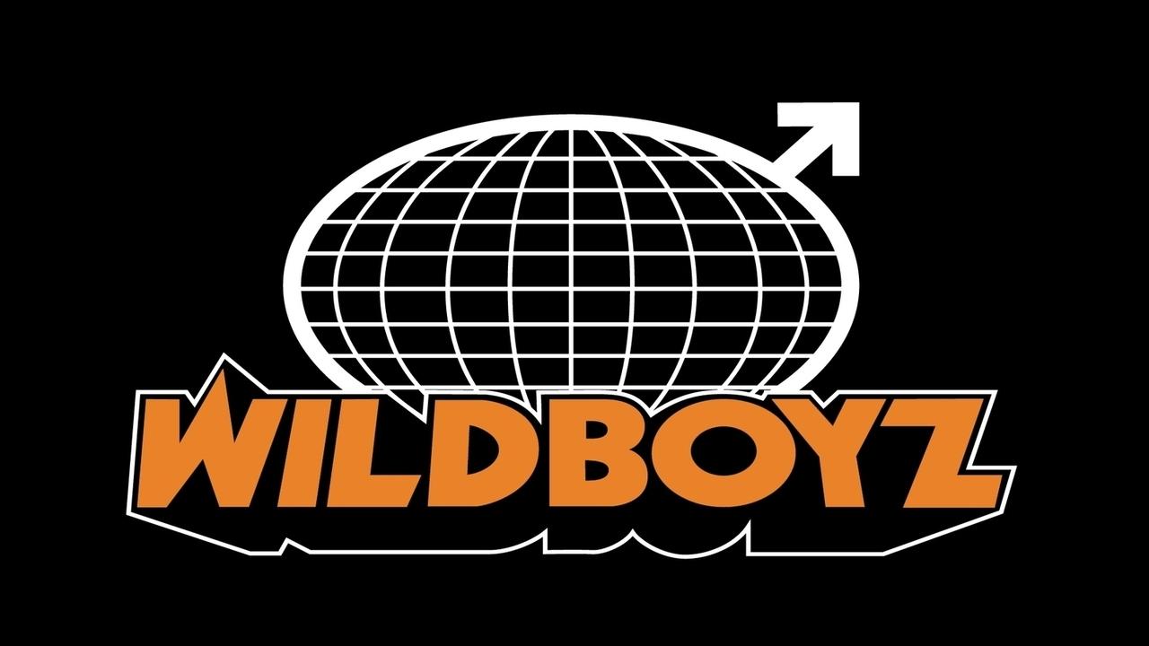 Wildboyz background