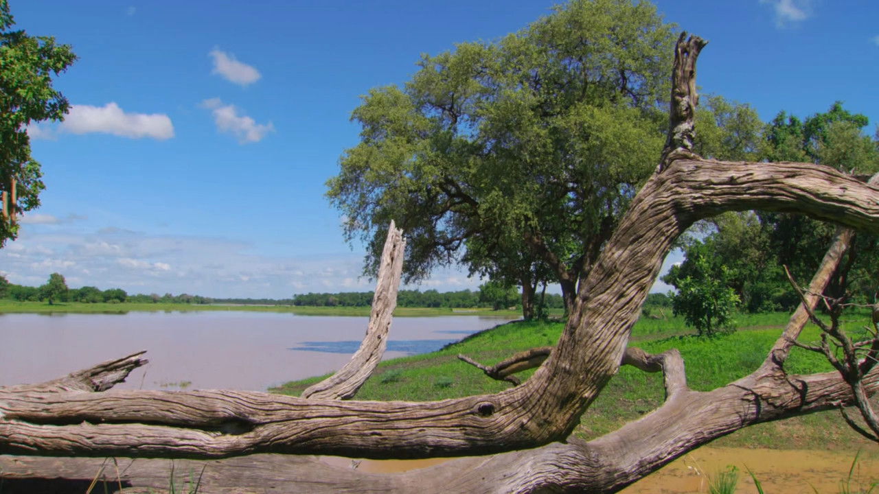 Luangwa River