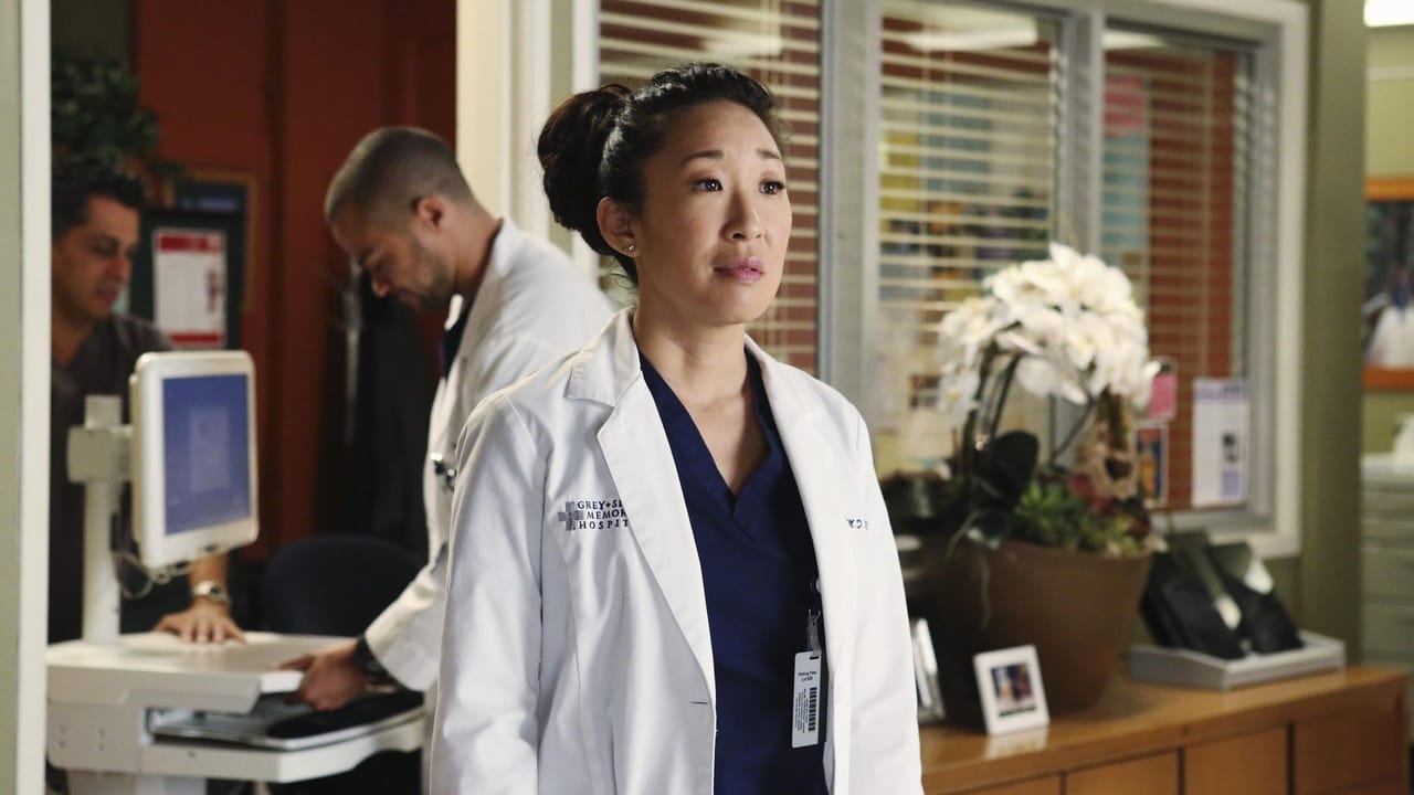 Grey's Anatomy - Season 10 Episode 17 : Do You Know?