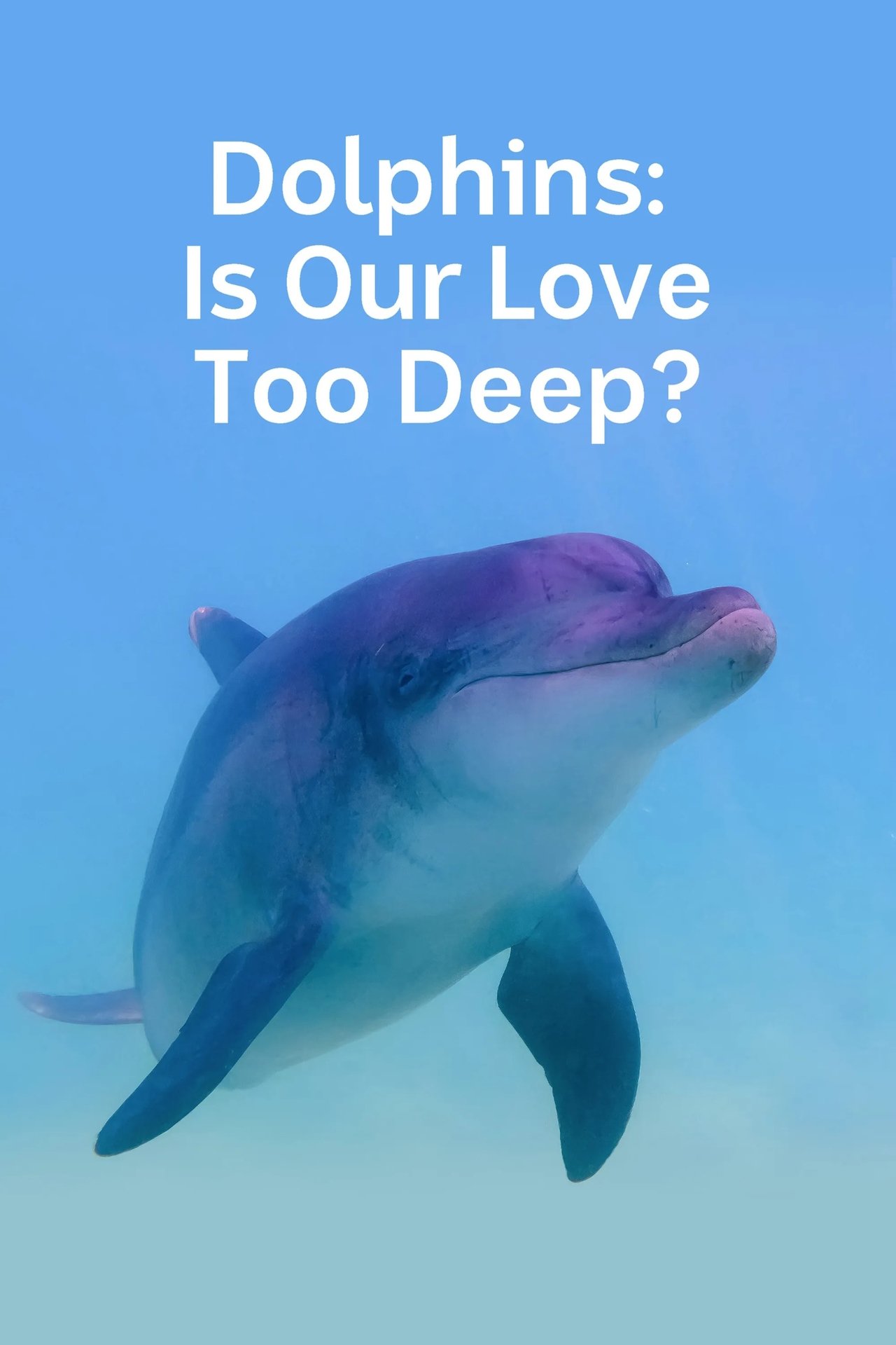 مشاهدة فيلم Dolphins: Is Our Love Too Deep? مترجم بدون اعلانات - بوستر