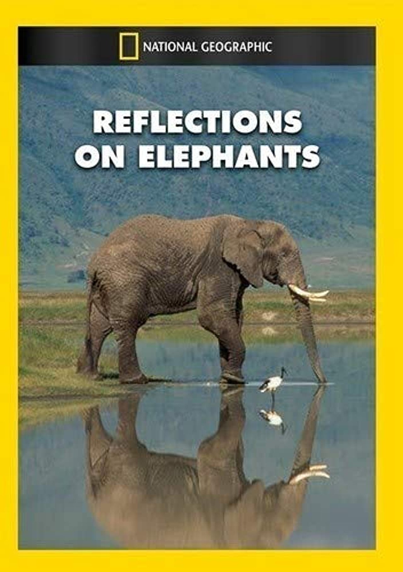 مشاهدة فيلم Reflections on Elephants مترجم بدون اعلانات - بوستر