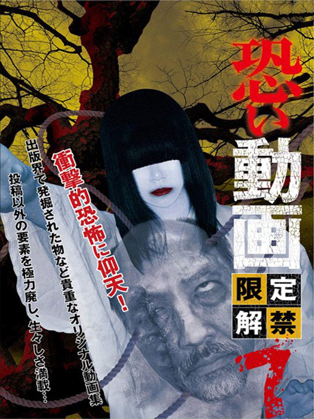 恐い動画　限定解禁7 filmaffisch