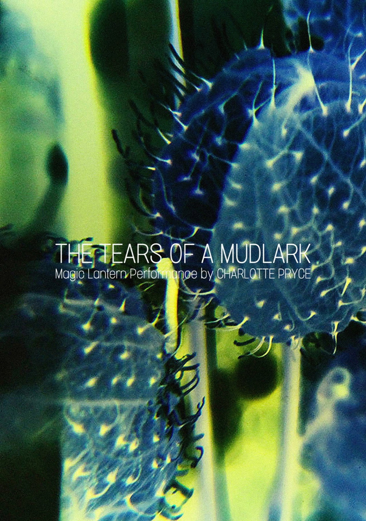 The Tears of a Mudlark filmaffisch