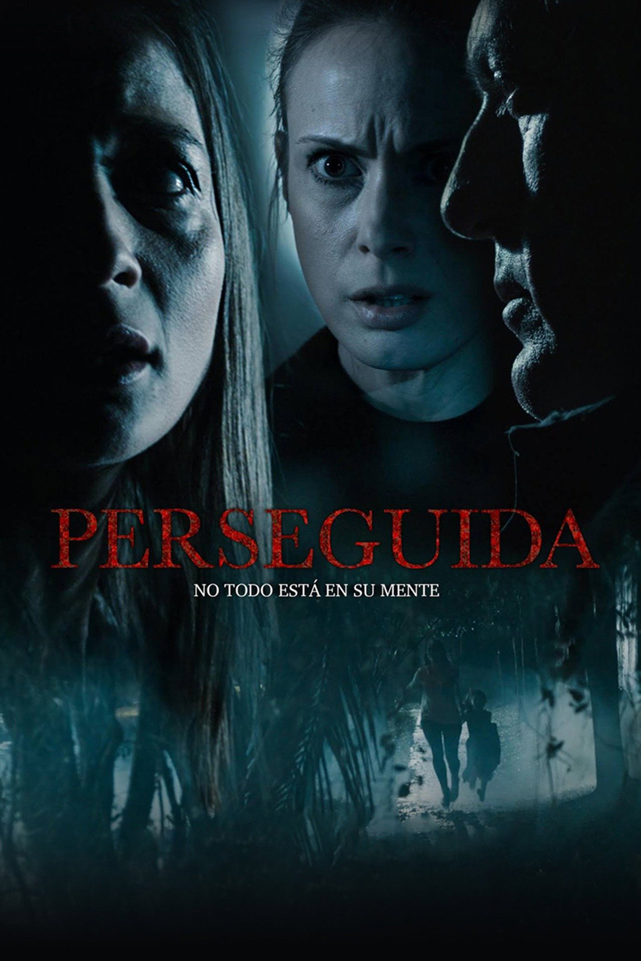 Perseguida filmaffisch