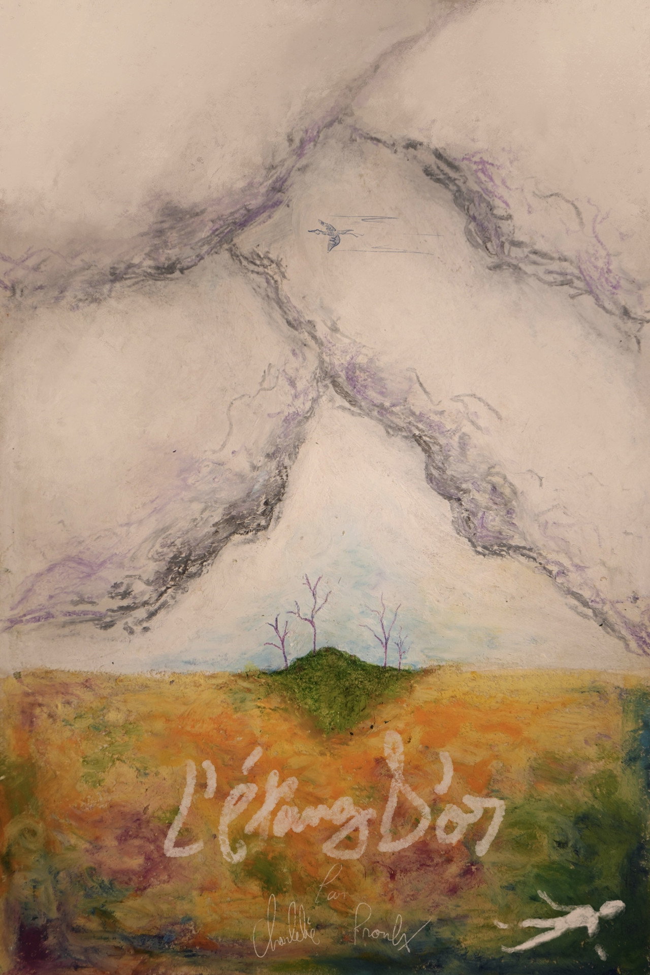 L'étang d'or (dort ou d'art) poster