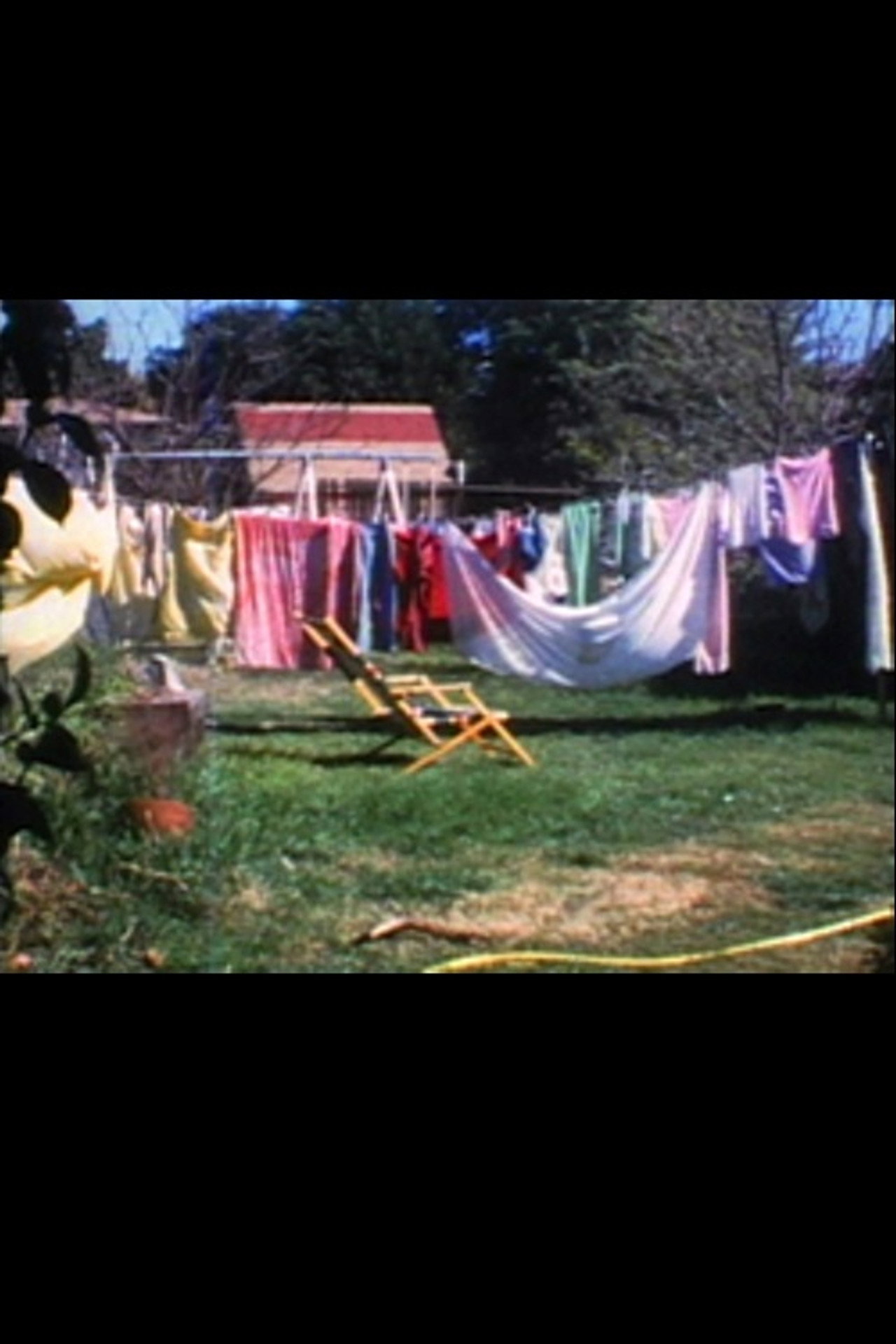 Backyard Economy 1 filmaffisch