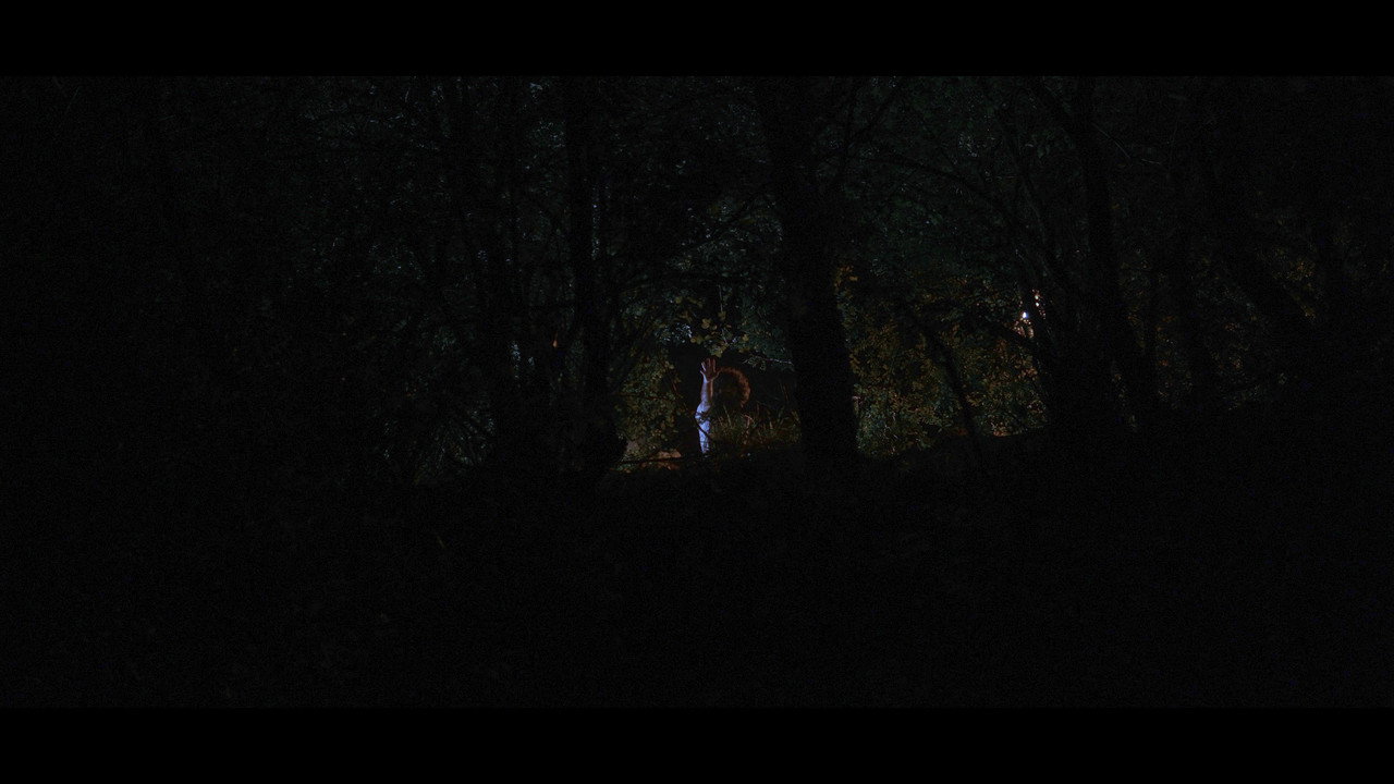Music Forest still 7
