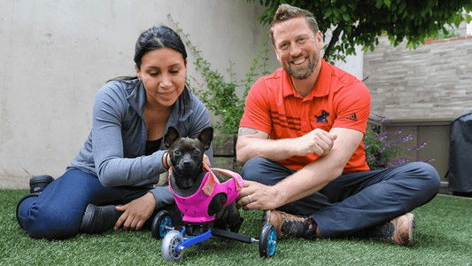 The Wizard of Paws - Season 4 Episode 7 : We Love Roo