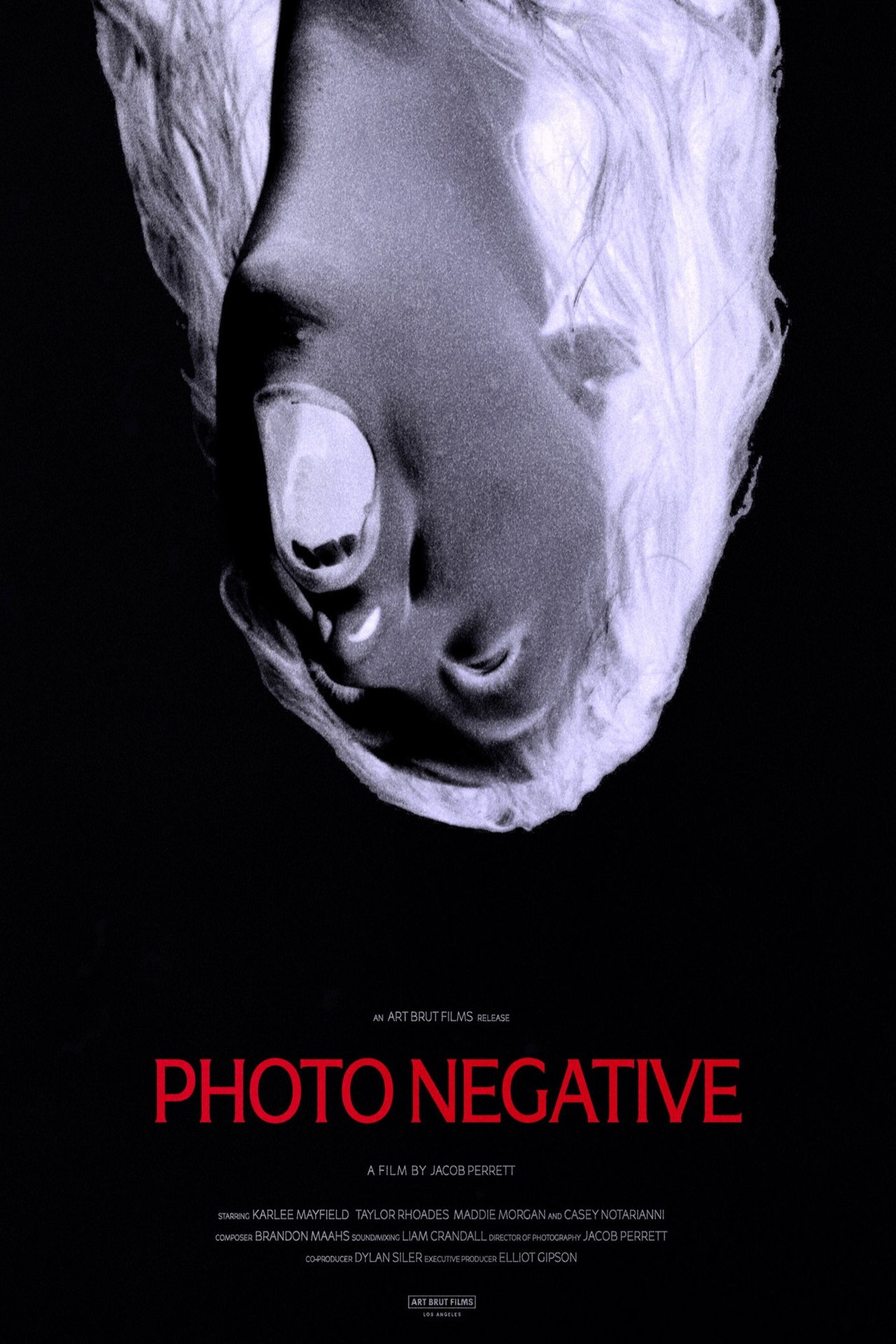 Photo Negative Backdrop
