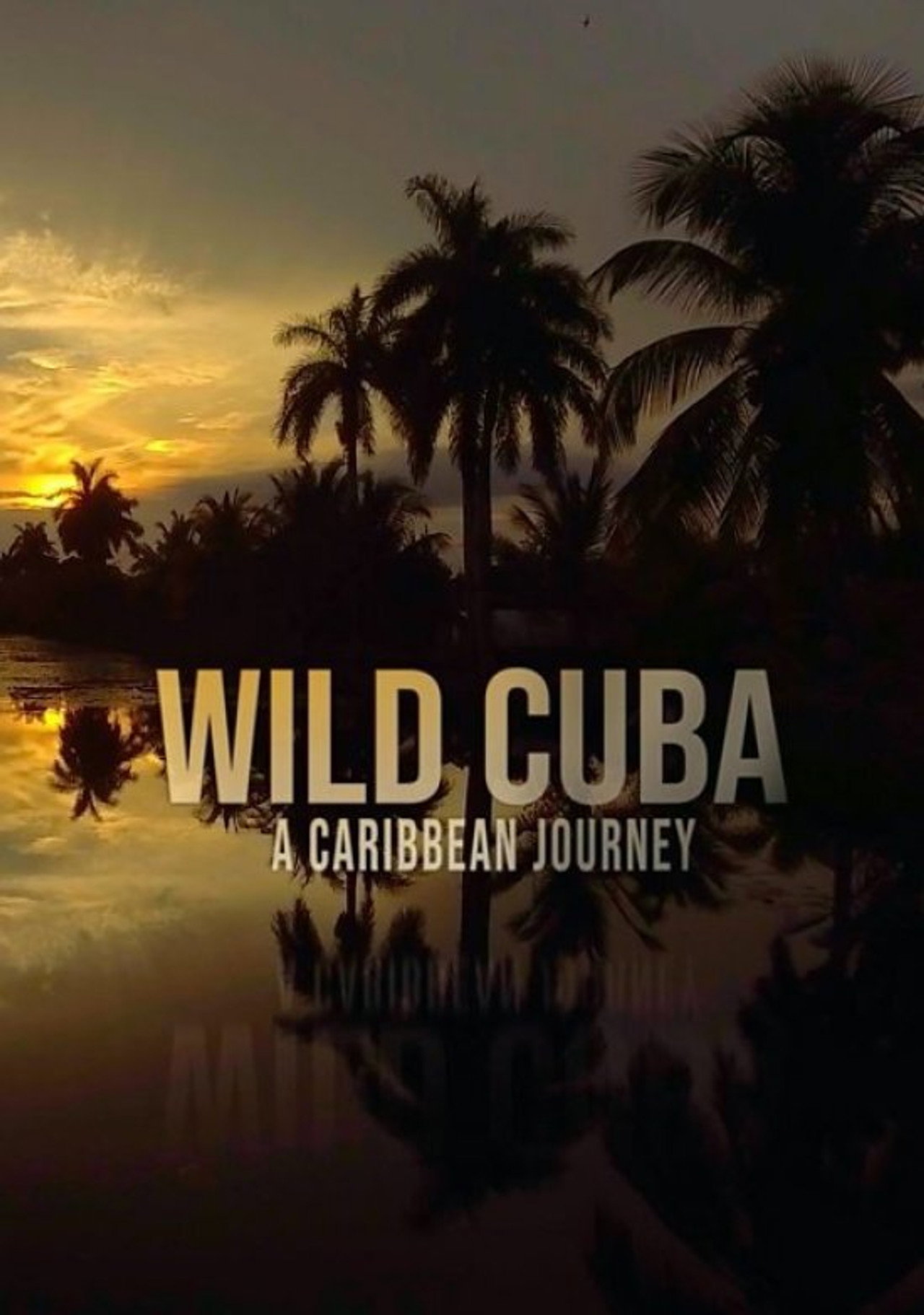 Wild Cuba: A Caribbean Journey filmaffisch